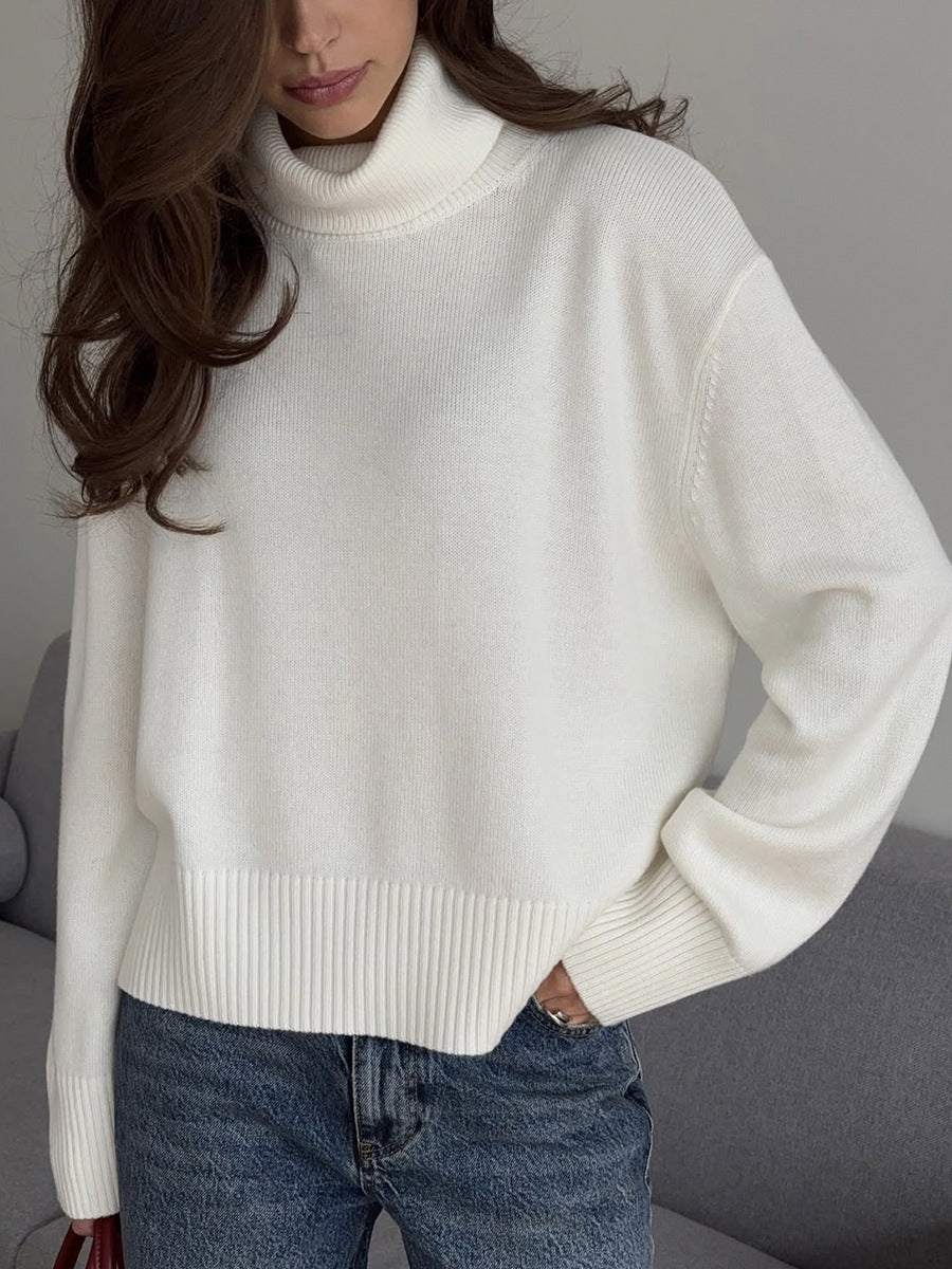 Aleisha Cozy Turtleneck Sweater [6IPTPX8J]