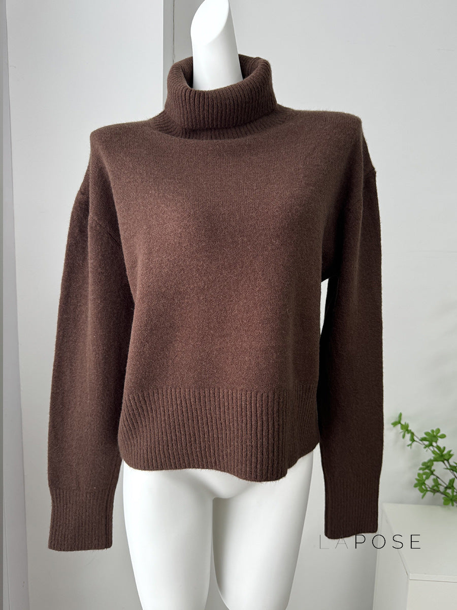 Aleisha Cozy Turtleneck Sweater [IVUDWNDN]