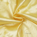 Ameena Pleated Satin Crop Top [E5LFWFRY]