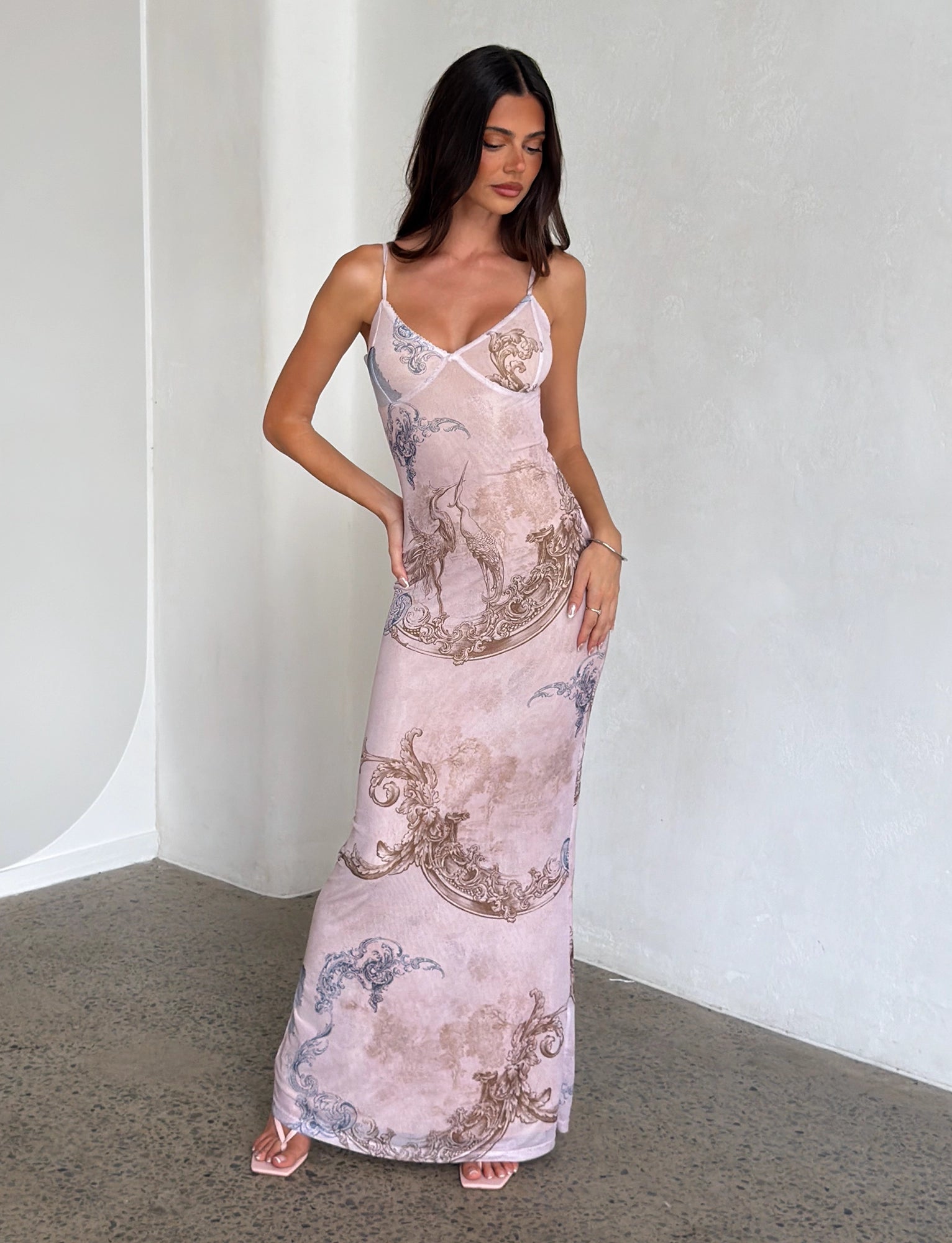 LaPose Arlette Radiant Floral Maxi Dress - Collage Cranes
