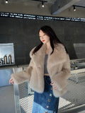 Brisa Plush Faux Fur Coat [6B1CWIBF]