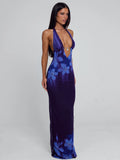 LaPose Faelynn Ruched Mesh Maxi Dress