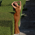 Iliana Halter Backless Midi Dress [FCOWT4D7]