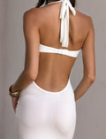 LaPose Kamri Draped Mesh Maxi Dress