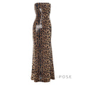 Karsen Leopard Print Tube Maxi Dress [N2D5P6C9]