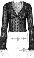 Kim Sheer Lace V-Neck Top [NJ0IFNXK]