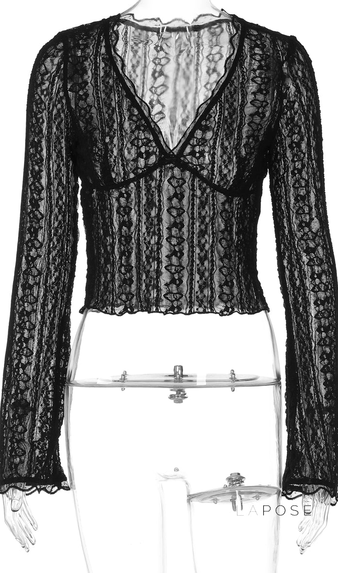 Kim Sheer Lace V-Neck Top [NJ0IFNXK]