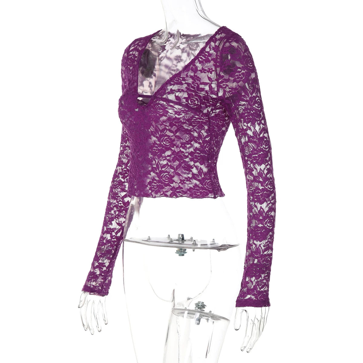 LaPose - Kori Sheer Lace V-Neck Top