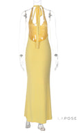 Scarlett Backless Halter Maxi Dress [KMTFBT1D]
