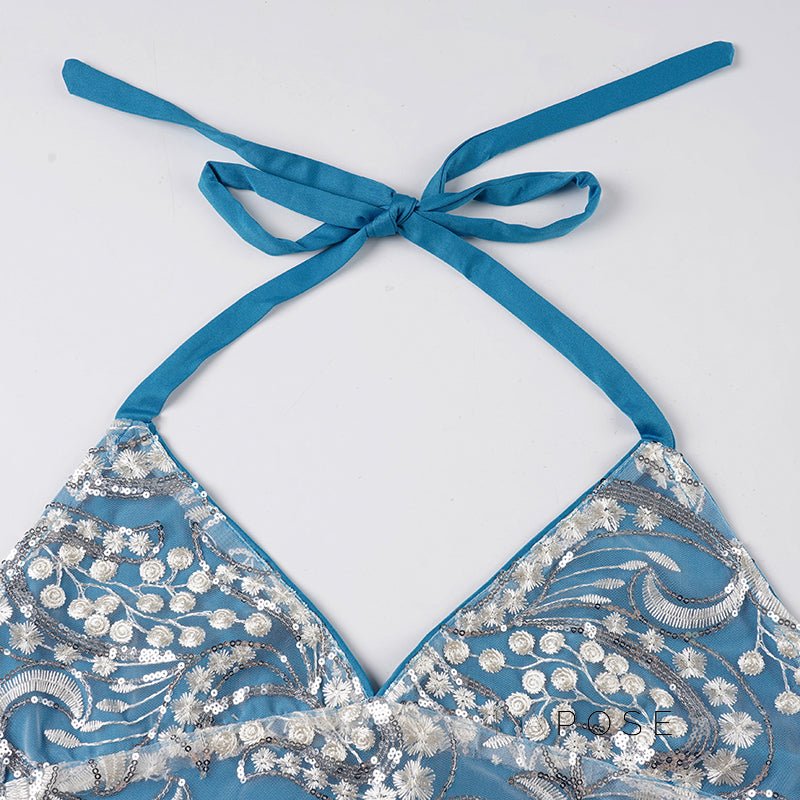 Skye Embroidered Backless Halter Top [8KW2SVP0]