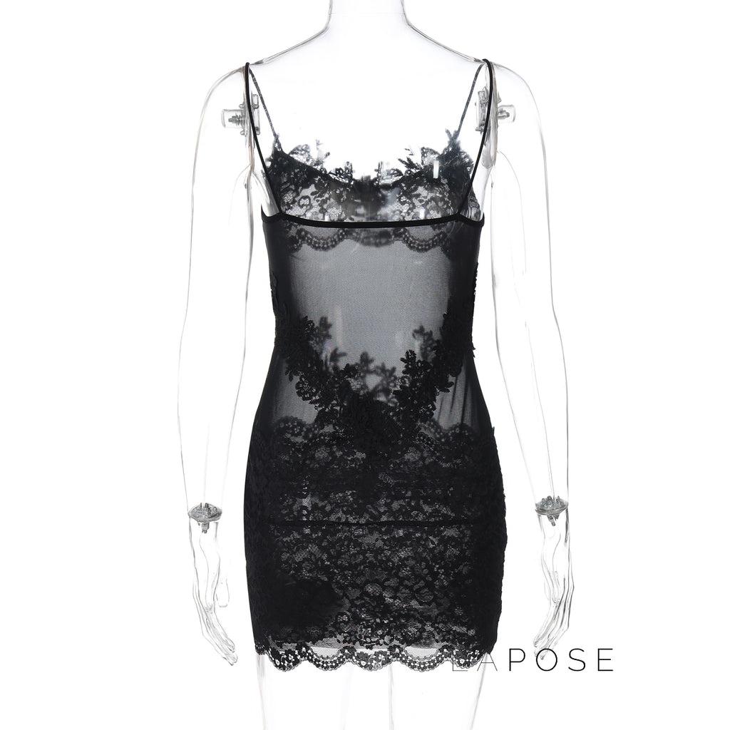 Whitleigh Lace Mesh Mini Dress [AISIBQTW]
