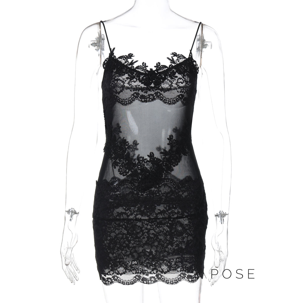 Whitleigh Lace Mesh Mini Dress [4ZBYLSOH]