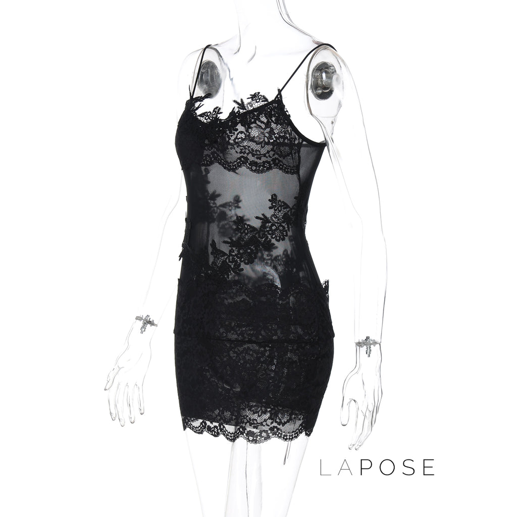 Whitleigh Lace Mesh Mini Dress [NCK6CMYR]